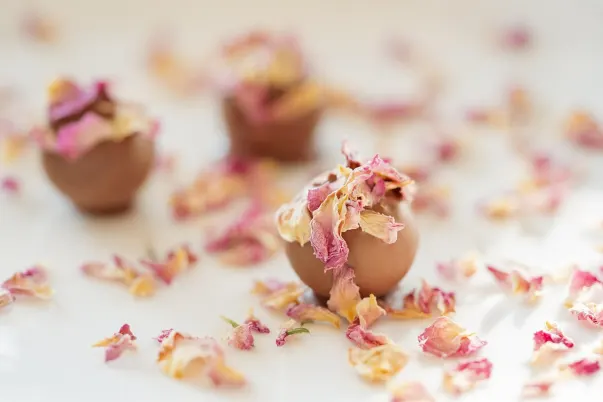 קזינו פריס וי איי פי אפליקציית Android/iOS